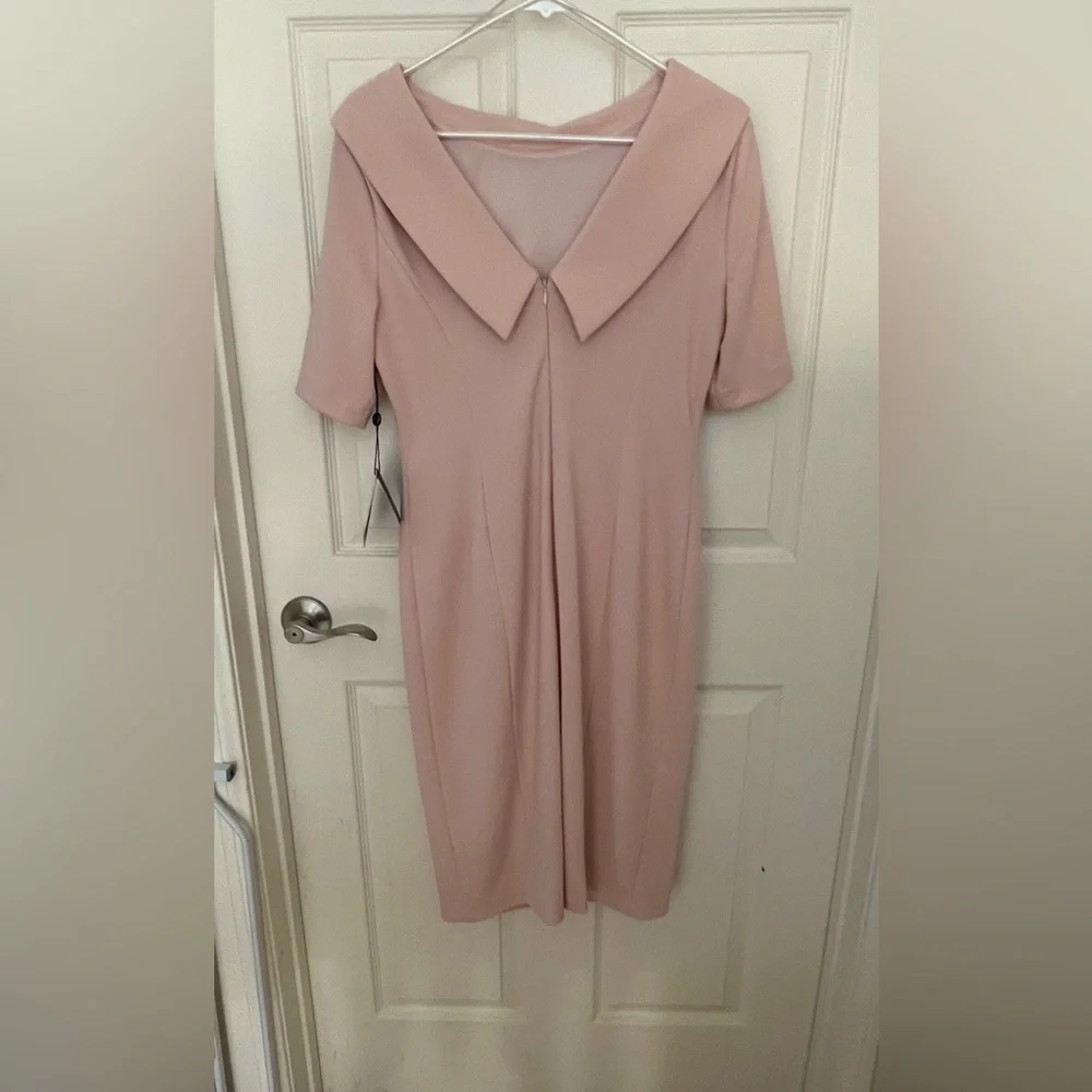 Roll Neck Sheath Collar Dress with V-back - Picture 3 of 6
